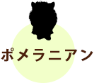 ポメラニアン