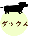 ダックス