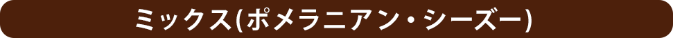 ポメラニアンxシーズー（ミックス）