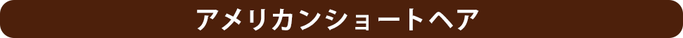 アメリカンショートヘア