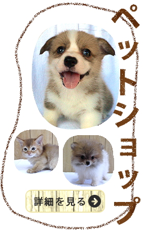 ペットショップ